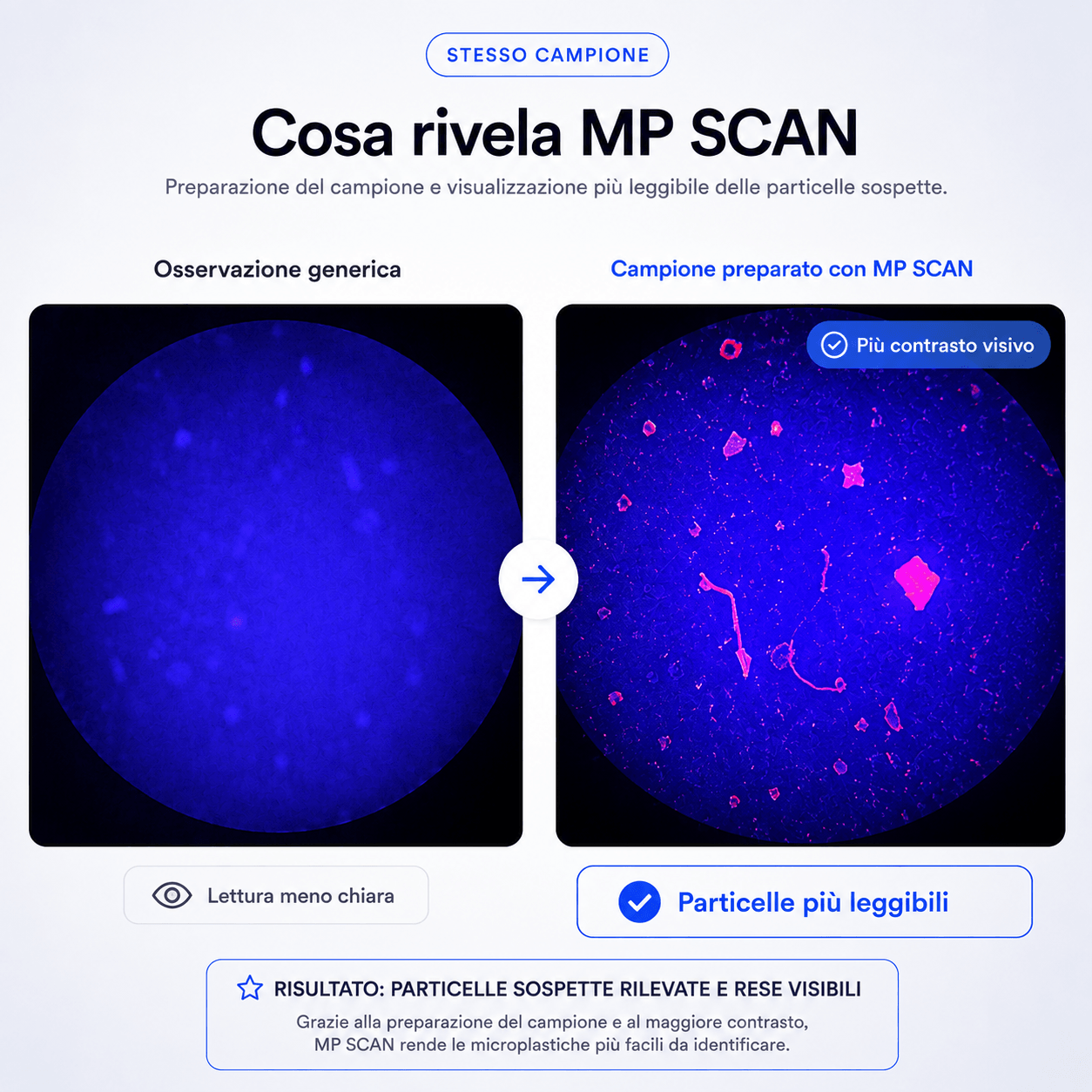 Confronto visivo fra un'osservazione generica e un campione preparato con MP SCAN
